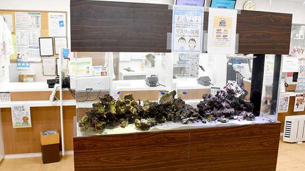 フラワー薬局代々木上原店のその他