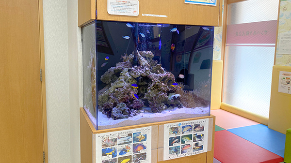 フラワー薬局中村橋駅前店のその他