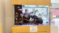 フラワー薬局貫井店のその他