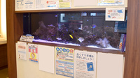 フラワー薬局横浜本牧店のその他