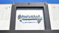 ヴァインドラッグ　末吉薬局の看板
