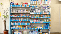 薬局トモズ扇橋店の一般医薬品