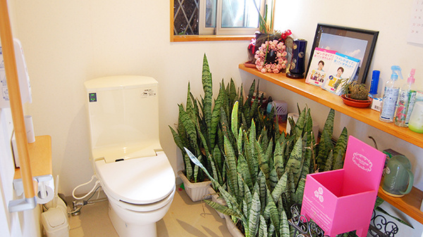 くるみ調剤薬局のお手洗い