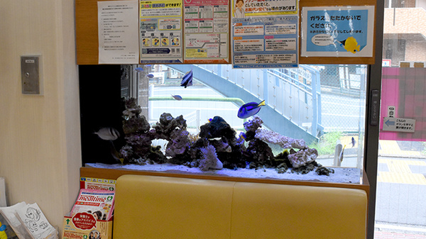 フラワー薬局中村橋千川通り店のその他