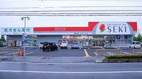セキ薬局　南栗橋店の外観