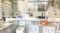 はこの森調剤薬局の受付/カウンター
