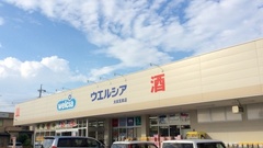 ウエルシア薬局　太田宝泉店の外観