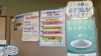 しらかば薬局の掲示物