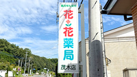 花・花薬局茂木店の看板