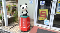 本田薬局の看板