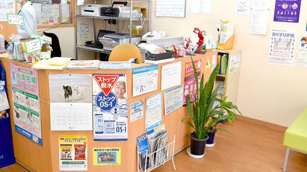 境川薬局の受付/カウンター