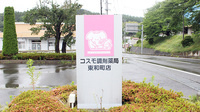 コスモ調剤薬局　東和町店の看板