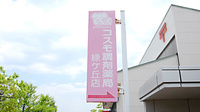 コスモ調剤薬局　緑ケ丘店の看板