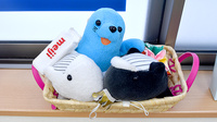 今立らいふ薬局のキッズ用品