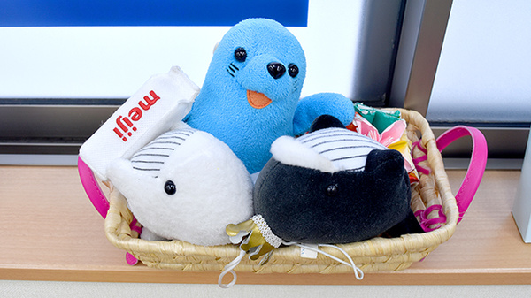 今立らいふ薬局のキッズ用品