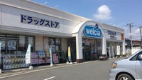 ウエルシア薬局　高崎棟高店の外観