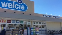 ウエルシア薬局　堺鳳中町店の外観