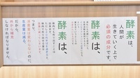 大賀薬局　北九州総合病院前店の掲示物