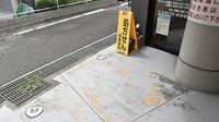 コスモファーマ薬局　千里丘上店の入口