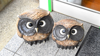 ふくろう薬局　高砂店のキャラクター