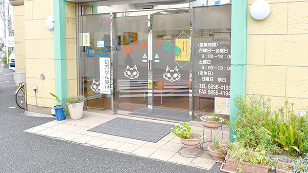 陽だまり薬局の入口