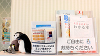 イカリ薬局　東希望が丘店の冊子