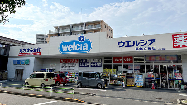 五霞町ウエルシア薬局の駐車場まで取りに来れる方。イルミネーション各色と付属一式 ウエルシア茨城五霞店-茨城県-猿島郡-ウエルシア, ドラッグストア