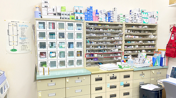 アクア薬局けやき台店の薬棚