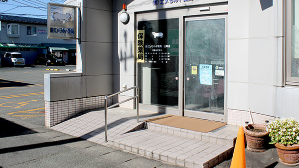 有限会社エメラルド薬局山岸店の入口