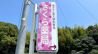 さくら薬局の看板