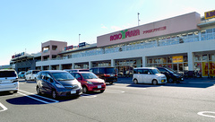 スギ薬局　藤久保店（埼玉県）の外観