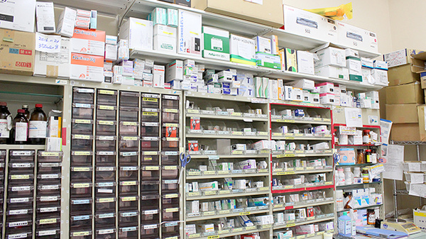 スギ薬局　北入曽店の薬棚