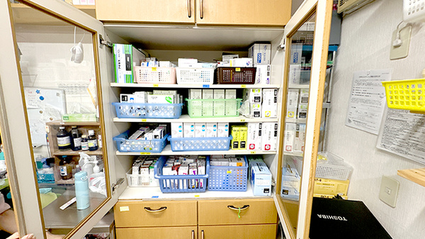 大袋新田薬局の薬棚