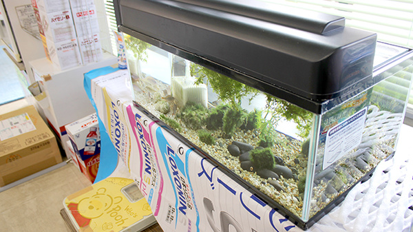 株式会社橋本薬局のその他