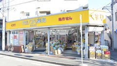 カシワバ薬局共進町店の外観