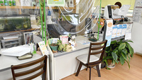 まごころ薬局大久保店の受付/カウンター