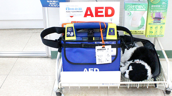 山島台コメヤ薬局のAED