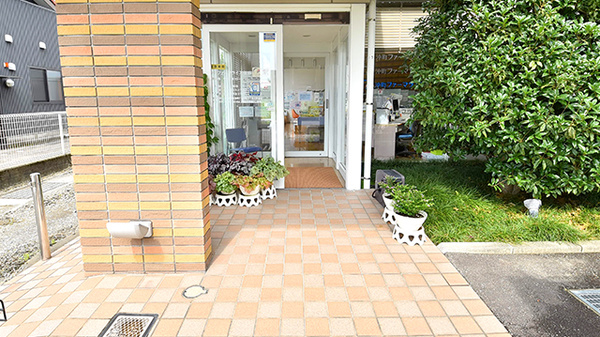 沖町ファーマライズ薬局の入口