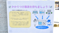 金沢ファーマライズ薬局のかかりつけ薬局対応