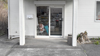 エビスヤ薬局　浪花店の入口