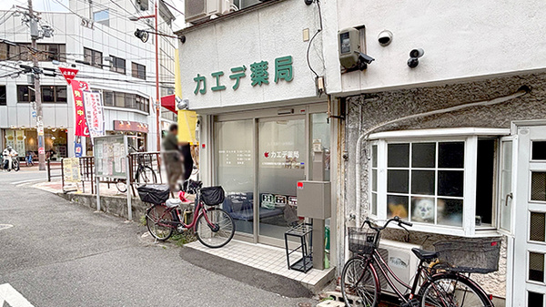 外観