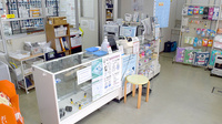 くすのき薬局の受付/カウンター