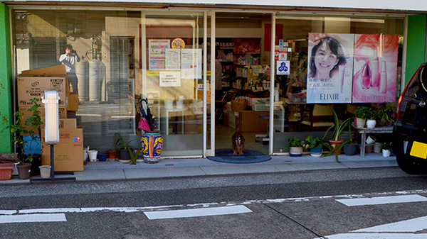 小向薬局本店の入口