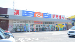 ドラッグストアエーススーパーモール鳥取店（鳥取県鳥取市）の外観