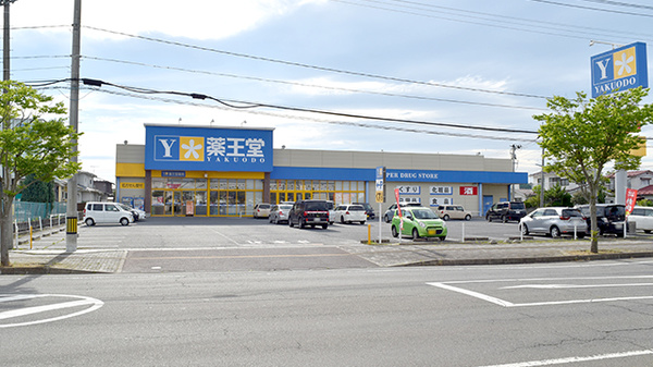 薬王堂薬局　宮城鹿島台店の外観