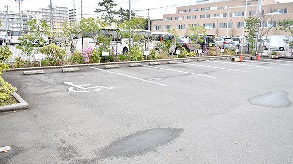 稲毛アズール調剤薬局の駐車場