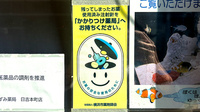 いずみ薬局日吉本町店のかかりつけ薬局対応