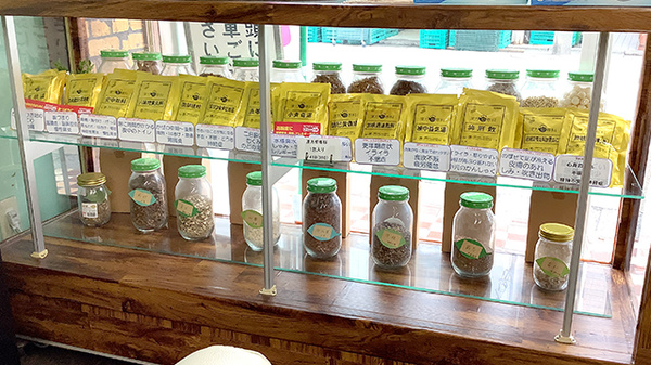 一般医薬品