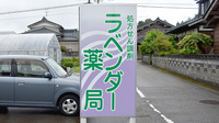 ラベンダー薬局の看板