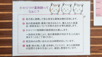 コスモス調剤薬局 堀田店のかかりつけ薬局対応